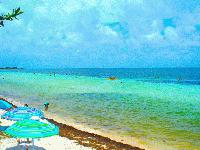 Bahia Hinda - Atlantic loggerhead beach ...